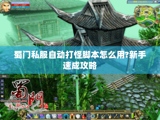 蜀门私服自动打怪脚本怎么用?新手速成攻略