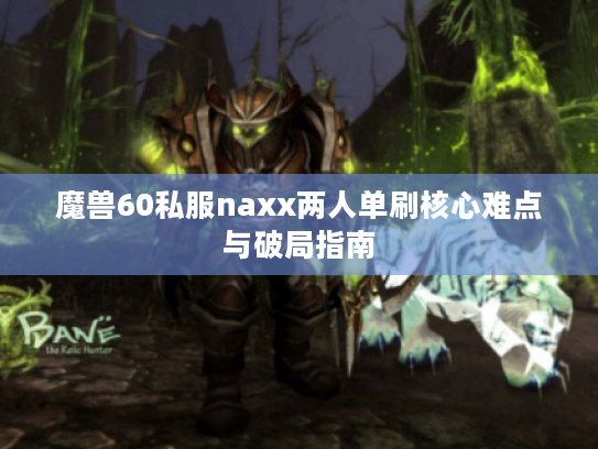魔兽60私服naxx两人单刷核心难点与破局指南