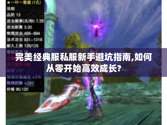 完美经典服私服新手避坑指南,如何从零开始高效成长?