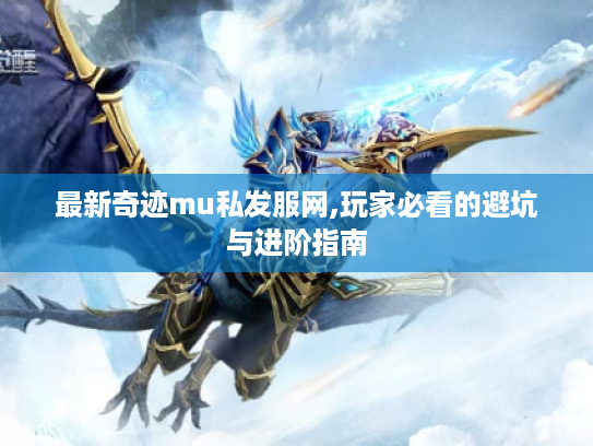 最新奇迹mu私发服网,玩家必看的避坑与进阶指南