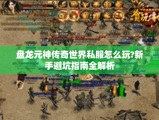 盘龙元神传奇世界私服怎么玩?新手避坑指南全解析