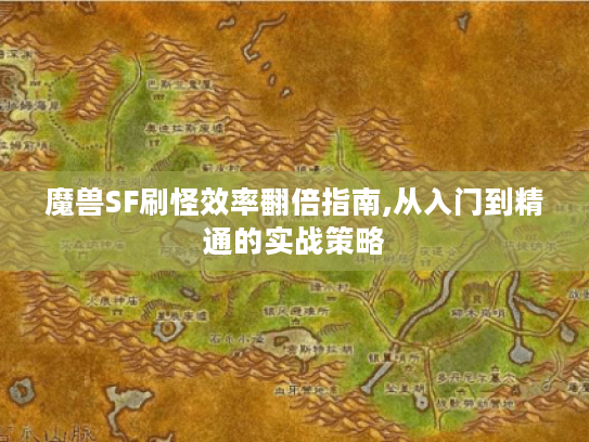 魔兽SF刷怪效率翻倍指南,从入门到精通的实战策略