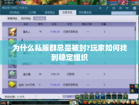为什么私服群总是被封?玩家如何找到稳定组织