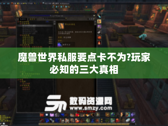 魔兽世界私服要点卡不为?玩家必知的三大真相