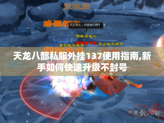 天龙八部私服外挂137使用指南,新手如何快速升级不封号