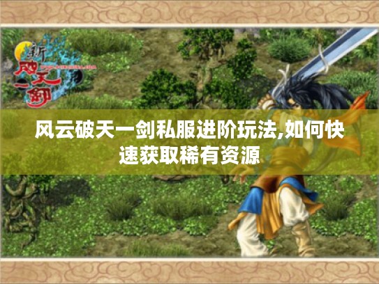 风云破天一剑私服进阶玩法,如何快速获取稀有资源