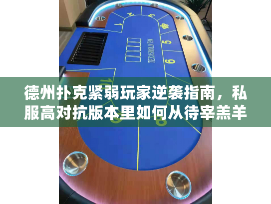 德州扑克紧弱玩家逆袭指南，私服高对抗版本里如何从待宰羔羊变收割机器？