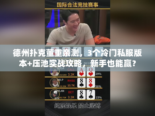德州扑克董重亲测，3个冷门私服版本+压池实战攻略，新手也能赢？