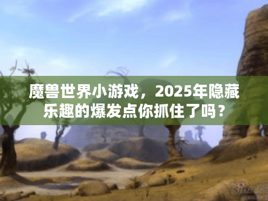 魔兽世界小游戏，2025年隐藏乐趣的爆发点你抓住了吗？