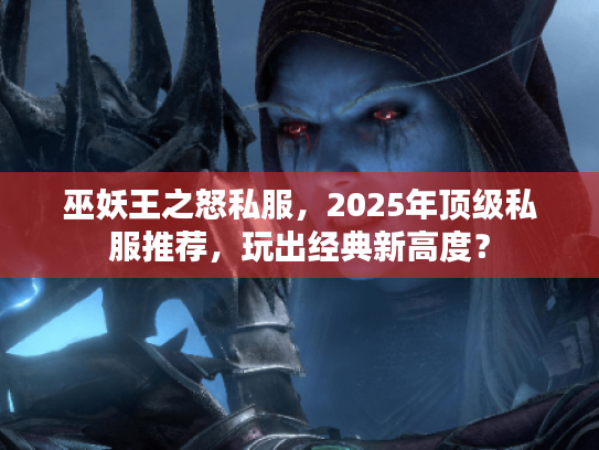 巫妖王之怒私服，2025年顶级私服推荐，玩出经典新高度？