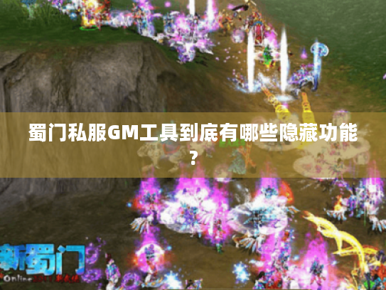 蜀门私服GM工具到底有哪些隐藏功能?
