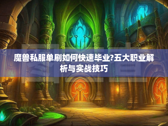 魔兽私服单刷如何快速毕业?五大职业解析与实战技巧