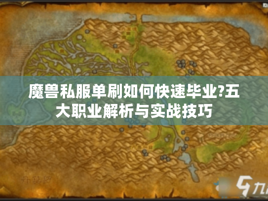 魔兽私服单刷如何快速毕业?五大职业解析与实战技巧