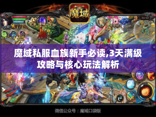 魔域私服血族新手必读,3天满级攻略与核心玩法解析