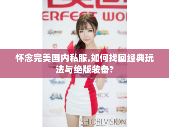 怀念完美国内私服,如何找回经典玩法与绝版装备?