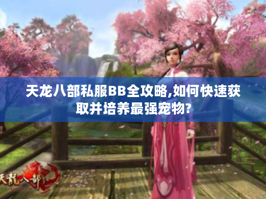 天龙八部私服BB全攻略,如何快速获取并培养最强宠物?