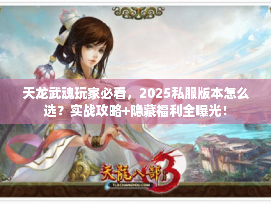天龙武魂玩家必看，2025私服版本怎么选？实战攻略+隐藏福利全曝光！