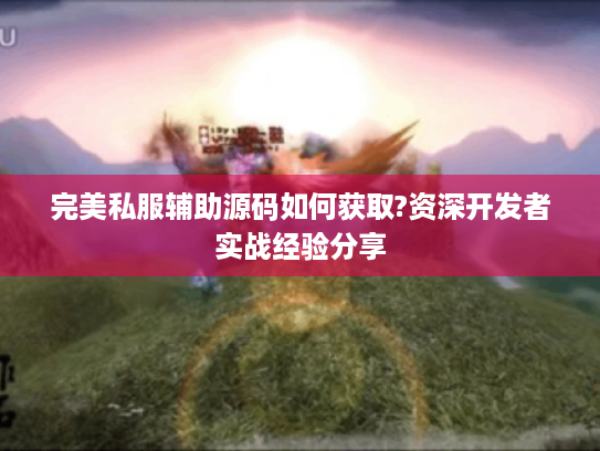 完美私服辅助源码如何获取?资深开发者实战经验分享
