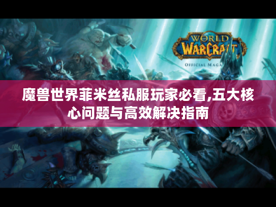 魔兽世界菲米丝私服玩家必看,五大核心问题与高效解决指南