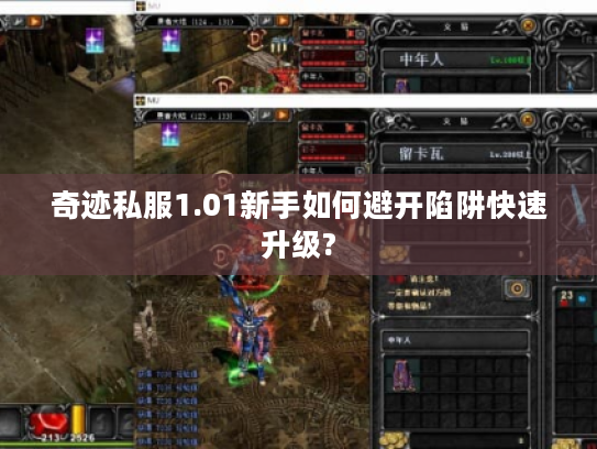 奇迹私服1.01新手如何避开陷阱快速升级?