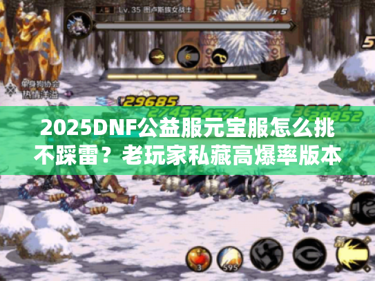 2025DNF公益服元宝服怎么挑不踩雷？老玩家私藏高爆率版本+搬砖攻略