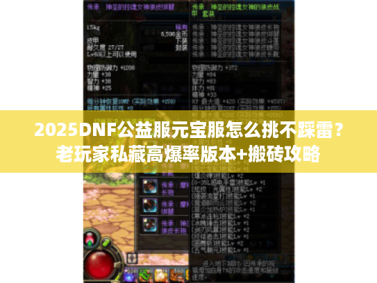 2025DNF公益服元宝服怎么挑不踩雷？老玩家私藏高爆率版本+搬砖攻略