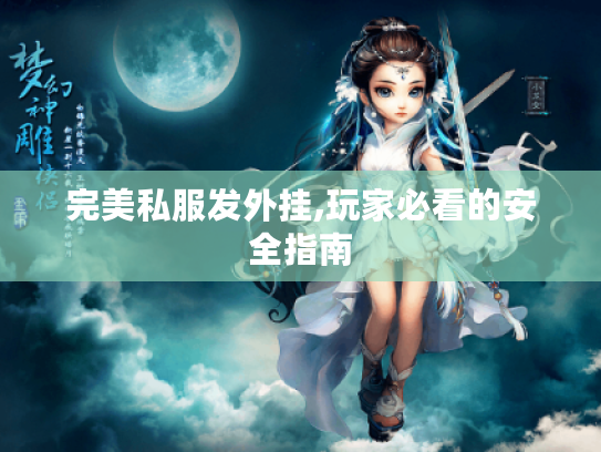 完美私服发外挂,玩家必看的安全指南