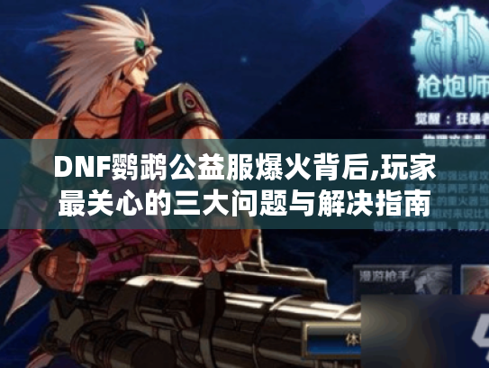 DNF鹦鹉公益服爆火背后,玩家最关心的三大问题与解决指南