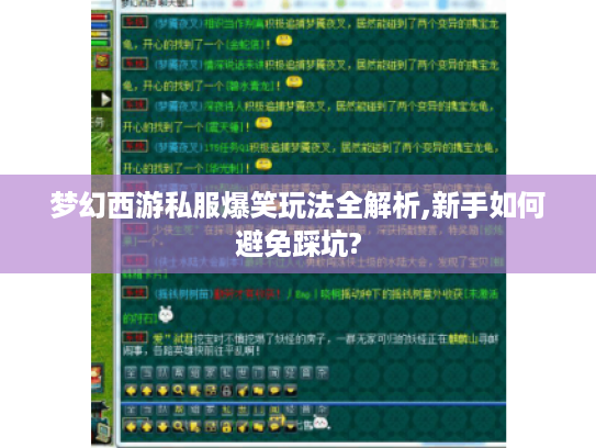 梦幻西游私服爆笑玩法全解析,新手如何避免踩坑?