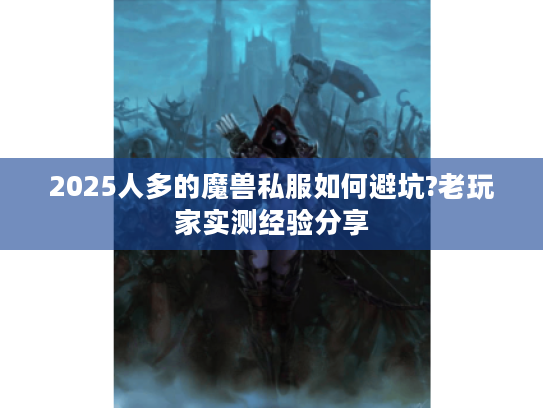 2025人多的魔兽私服如何避坑?老玩家实测经验分享