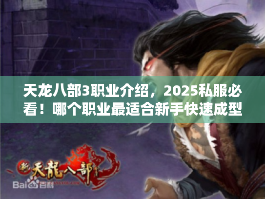 天龙八部3职业介绍，2025私服必看！哪个职业最适合新手快速成型？