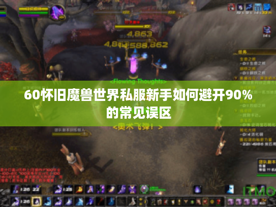60怀旧魔兽世界私服新手如何避开90%的常见误区
