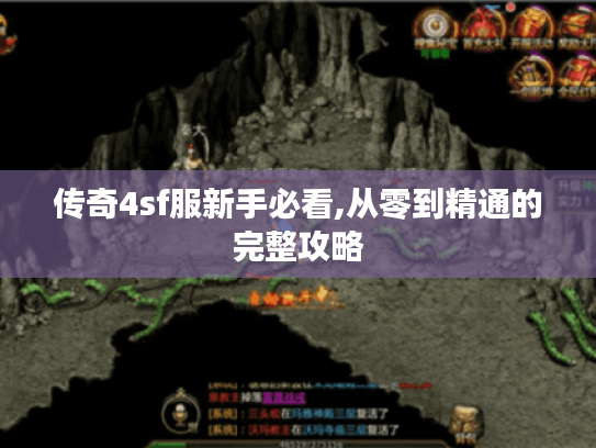 传奇4sf服新手必看,从零到精通的完整攻略