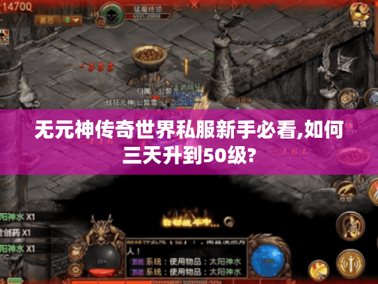 无元神传奇世界私服新手必看,如何三天升到50级?