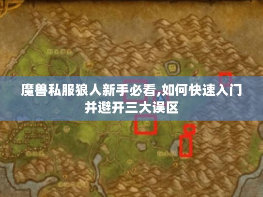 魔兽私服狼人新手必看,如何快速入门并避开三大误区