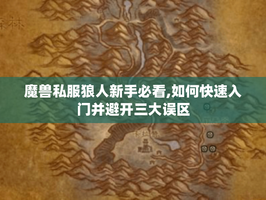 魔兽私服狼人新手必看,如何快速入门并避开三大误区
