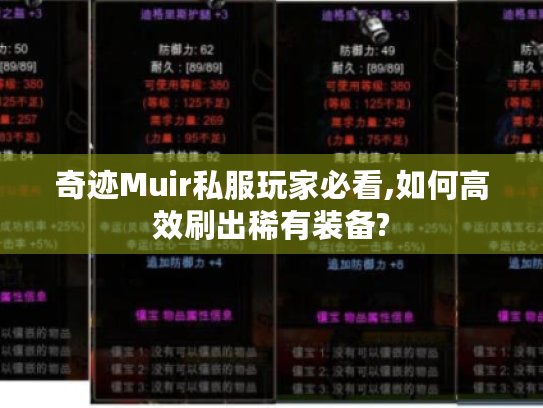 奇迹Muir私服玩家必看,如何高效刷出稀有装备?