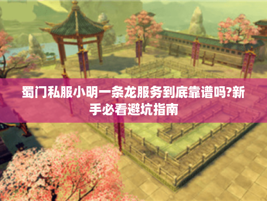 蜀门私服小明一条龙服务到底靠谱吗?新手必看避坑指南