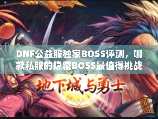 DNF公益服独家BOSS评测，哪款私服的隐藏BOSS最值得挑战？