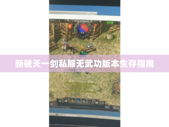 新破天一剑私服无武功版本生存指南
