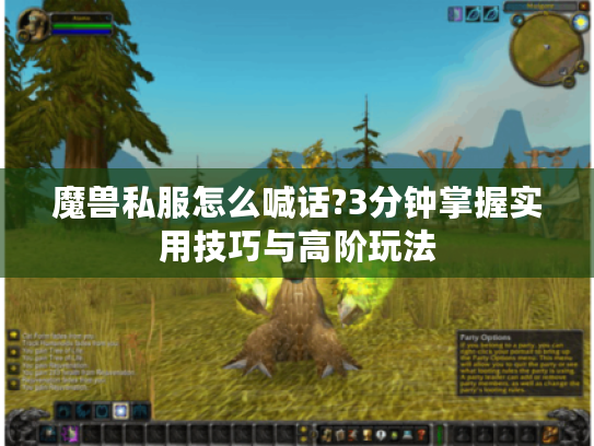 魔兽私服怎么喊话?3分钟掌握实用技巧与高阶玩法