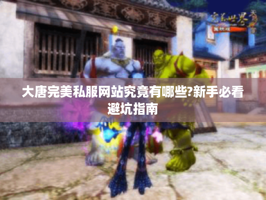 大唐完美私服网站究竟有哪些?新手必看避坑指南