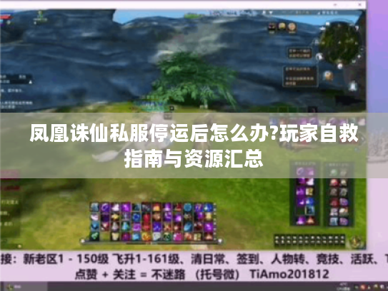 凤凰诛仙私服停运后怎么办?玩家自救指南与资源汇总