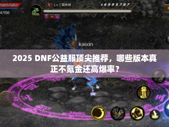 2025 DNF公益服顶尖推荐，哪些版本真正不氪金还高爆率？