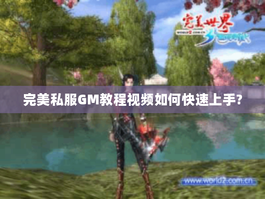 完美私服GM教程视频如何快速上手?