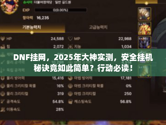 DNF挂网，2025年大神实测，安全挂机秘诀竟如此简单？行动必读！