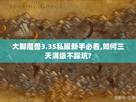 大脚魔兽3.35私服新手必看,如何三天满级不踩坑?