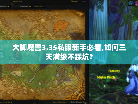 大脚魔兽3.35私服新手必看,如何三天满级不踩坑?