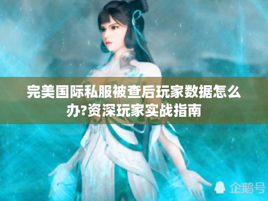 完美国际私服被查后玩家数据怎么办?资深玩家实战指南