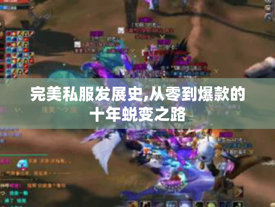 完美私服发展史,从零到爆款的十年蜕变之路